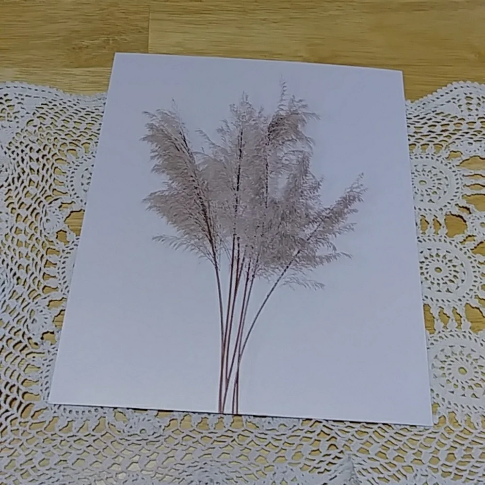 Art Prints Ethereal, wispy floral prints, wall art